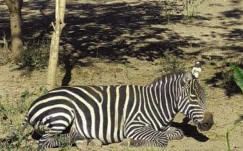 �P(gu��n)�ڰ��R���Y׌�������ģ�ͨ��8ƪ��