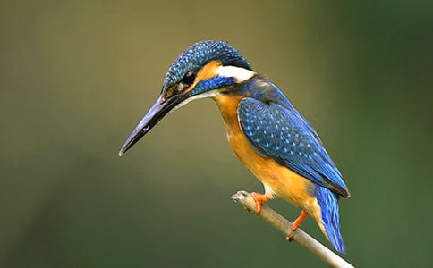 �����B(ni��o)�����_(k��i)�n�̰�