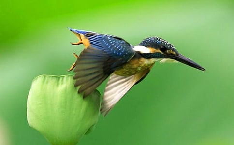 ���B��(y��u)������