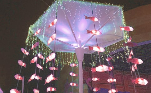 一年級看花燈日記(通用12篇)