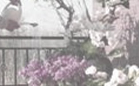 ����һ�꼉(j��)���ļ��\15ƪ