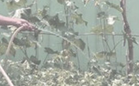 ����������300�ֺϼ���ƪ