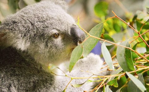 ��������600�֣�ͨ��10ƪ��