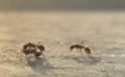 ���P(gu��n)Λρ��ӛ���ģ����x40ƪ��