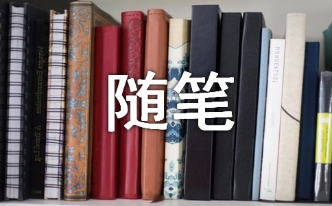 ���������Z��S�P