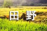 田野的作文