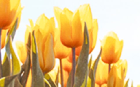 ������������600�����ģ����x10ƪ��