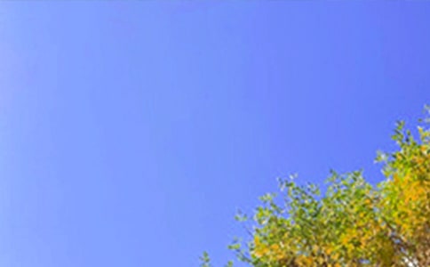 2024年常用正能量早安語錄大匯總61句