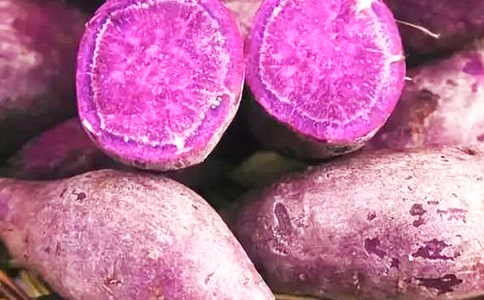 �����oʳ������˾��������