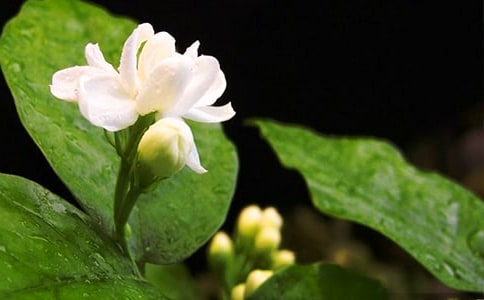 �Ҽ�ͥԺ�����������