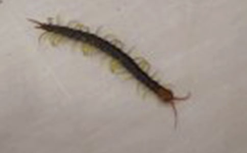 ЦԒ���£����ȥ�I��