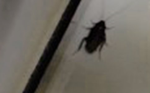 �����500������