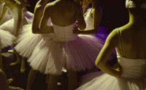 ���������ģ����x37ƪ��