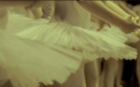 �茑����������