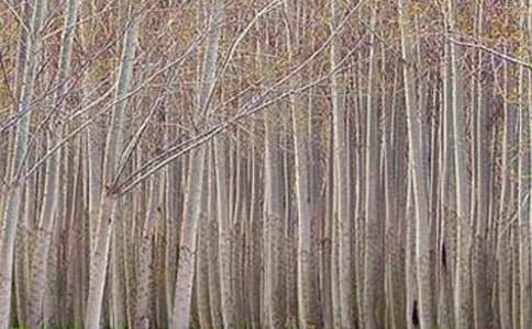 �Ґۼ��l(xi��ng)�İח������350��