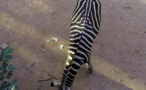 �Y׌���R����������