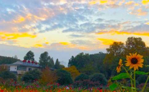 鄉(xiāng)村的傍晚的作文400字