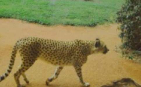 �P�ڱ�������500��21ƪ