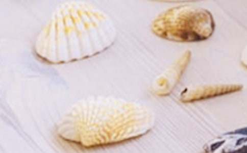 ����ؐ������