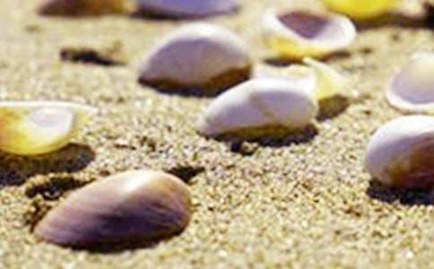 �����x��ؐ������51ƪ