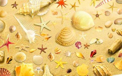 ��ؐ��С�W(xu��)������5ƪ