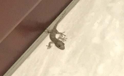 �ڻ�����500�ֺϼ�8ƪ