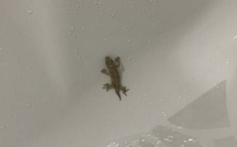 �^��С�ڻ�����