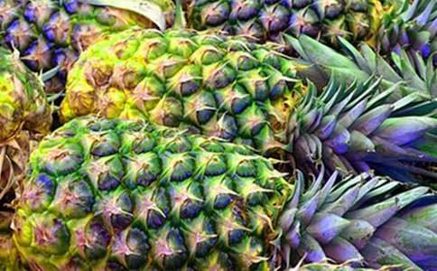 �ɺ޵Ĳ��}С�W(xu��)����