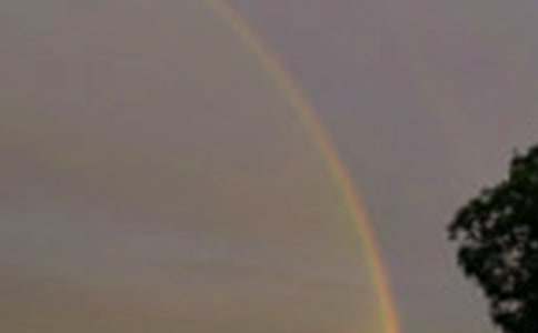 �^��һ�N��Ȼ�F(xi��n)�����ģ���Ҋ�p�ʺ磨���x24ƪ��