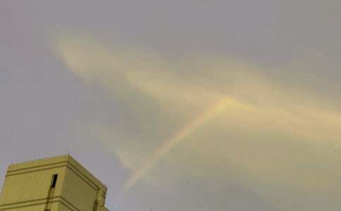 �����еĲʺ�����