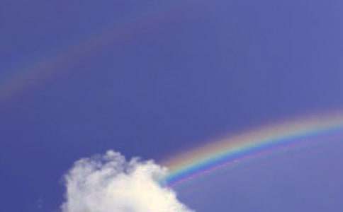 初一作文:心中的彩虹(精選42篇)