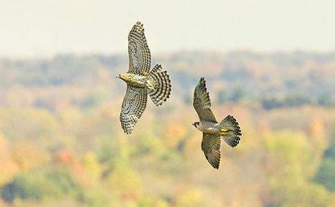 �n������600��8ƪ