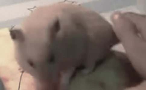 ���P(gu��n)�}������600�֣�ͨ��36ƪ��