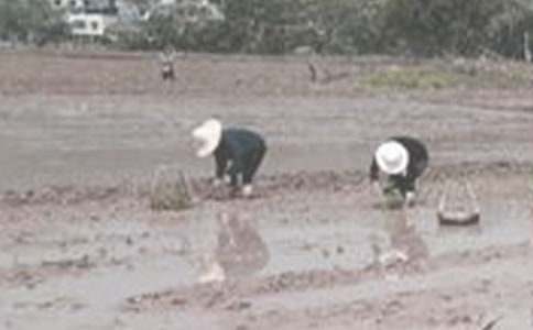 �r(n��ng)��Ȥ�²�������600��