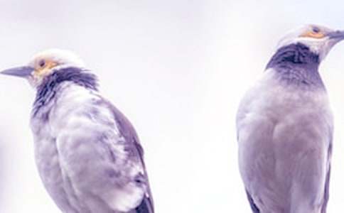 吵架以后敘事作文