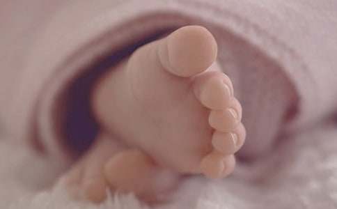 �����A����������500��4ƪ