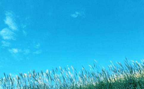 ��һ�|���L(f��ng)����600�֣�ͨ��15ƪ��