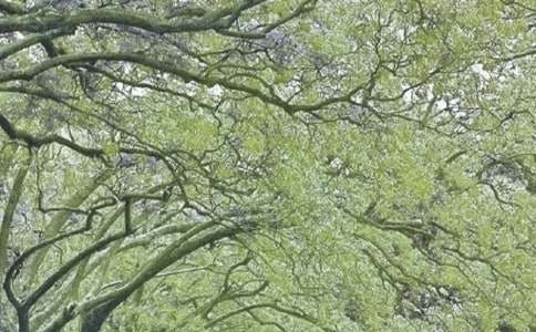 ���ڴ��L��������ģ�ͨ��36ƪ��