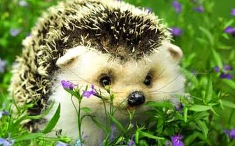 С��⬺ͺ�؂���ġ�����