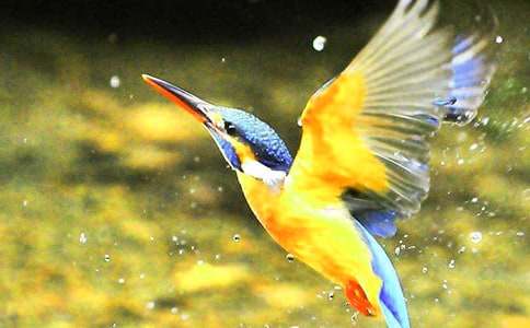 �P(gu��n)�ڴ��B���ģ����x23ƪ��