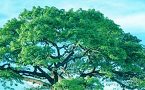 �������\(y��n)���ļ��\��ƪ