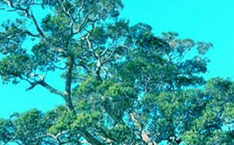 �������\���ļ��\5ƪ