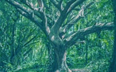 �������(sh��)������600��