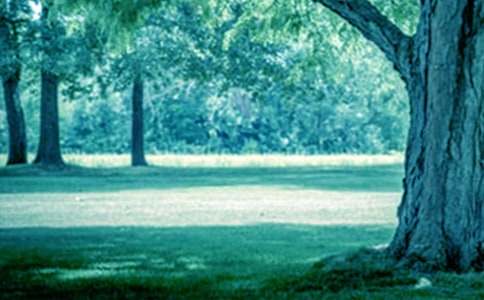 �����o˽��I�����ģ����x8ƪ��