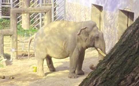 �������òС���ģ�ͨ��27ƪ��