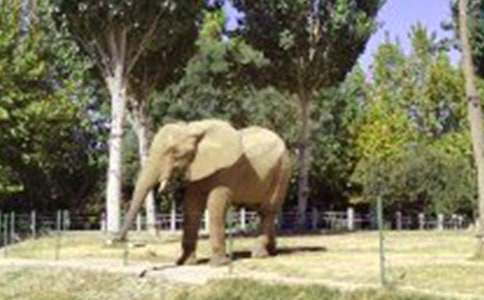 ������Ӵ�򿴈D��(xi��)Ԓ(hu��)����400�֣�ͨ��10ƪ��