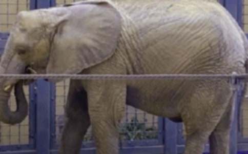 ���؂䡿����ͯԒ������ƪ