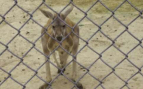 ����������f(shu��)�������ģ�ͨ��18ƪ��