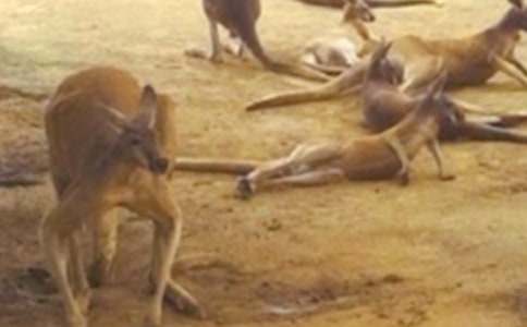 ��������400��4ƪ