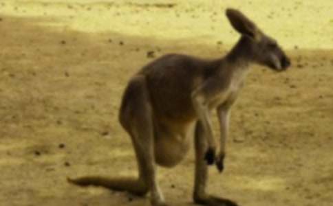 �����x����������300����ƪ